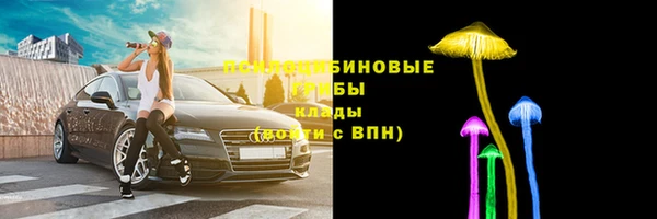первитин Белокуриха