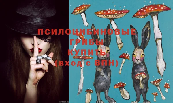 первитин Белокуриха