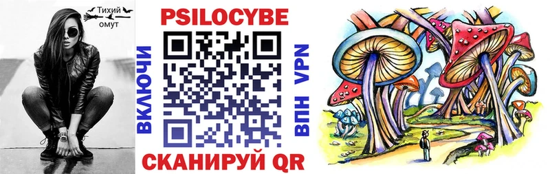 Псилоцибиновые грибы Psilocybe  Верхний Тагил 