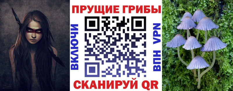 Псилоцибиновые грибы Cubensis Верхний Тагил
